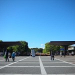2010コスモスまつり＠昭和記念公園　１