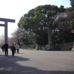 2011靖国神社桜　1