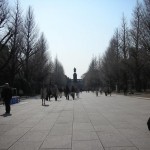2011靖国神社桜　2