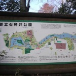 石神井公園2