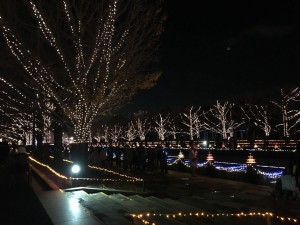 昭和記念公園クリスマスイルミネーション2016 5