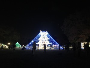 昭和記念公園クリスマスイルミネーション2016 6