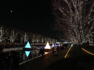 昭和記念公園クリスマスイルミネーション2016 4