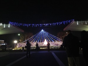 昭和記念公園クリスマスイルミネーション2016 2