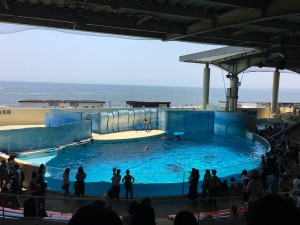 新江ノ島水族館20170708 2