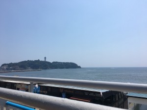 新江ノ島水族館20170708 7