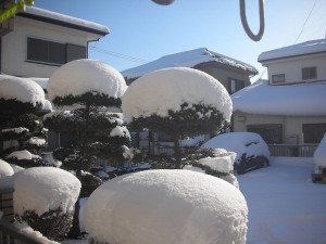 20180122～23雪１